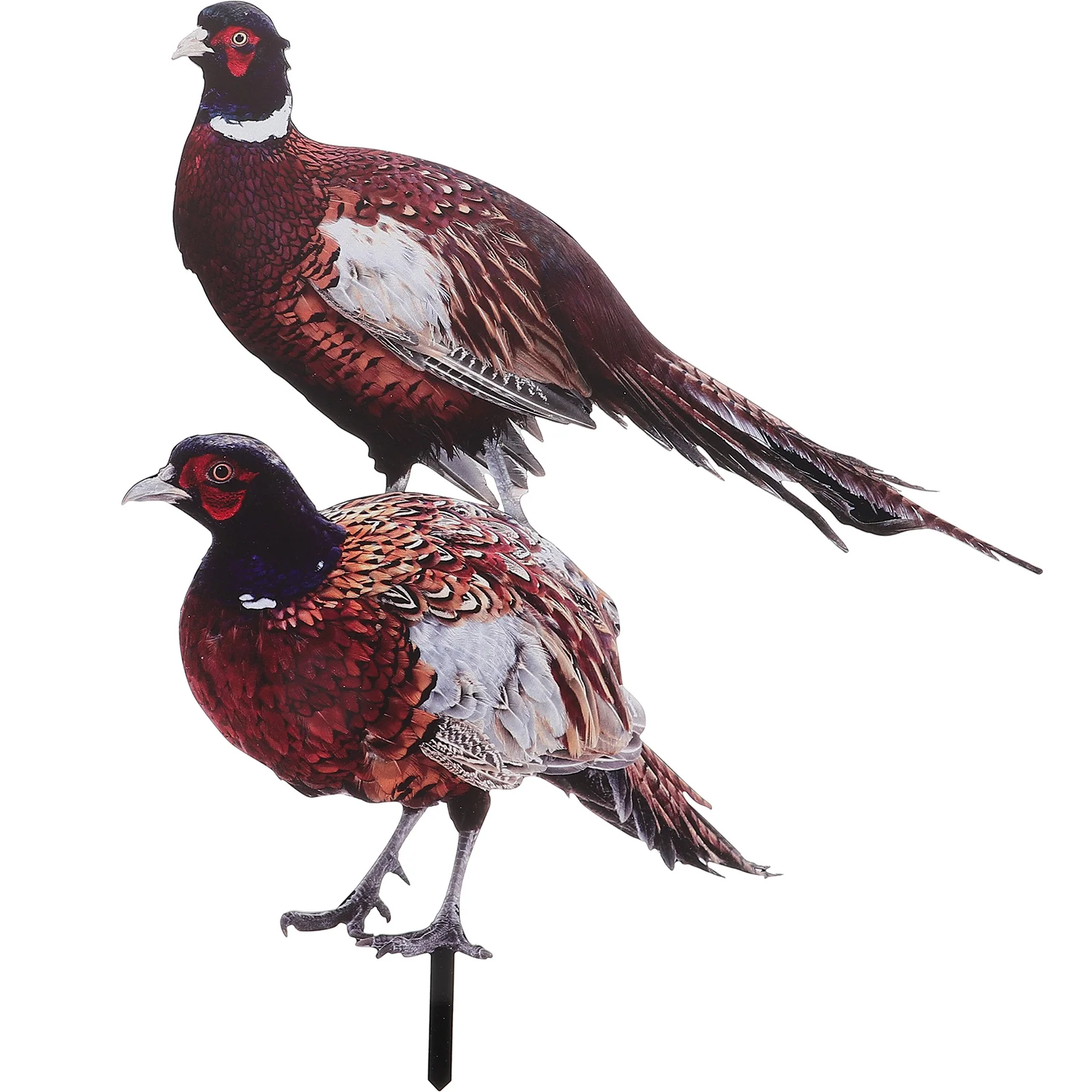 

2 Pcs Duck Pheasant Garden Decoration Animal Yards Decorative Acrylic Insert