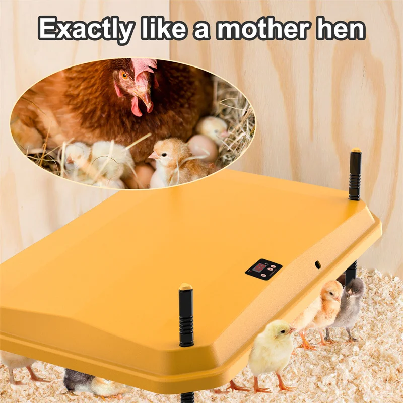 Electric Chick Brooder Heating Plate Adjustable Height Chick Cage Heater Chicken Warmer Easy To Install Convenient Time-saving