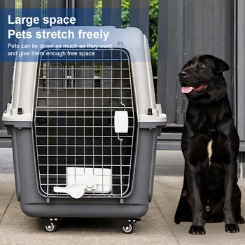 Airline-Friendly Dog Carrier Crate 1