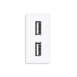 DIY Multi-Functional Connectivity Hub with Switch & Socket Options - Dual USB 5V2.4A (Grey)