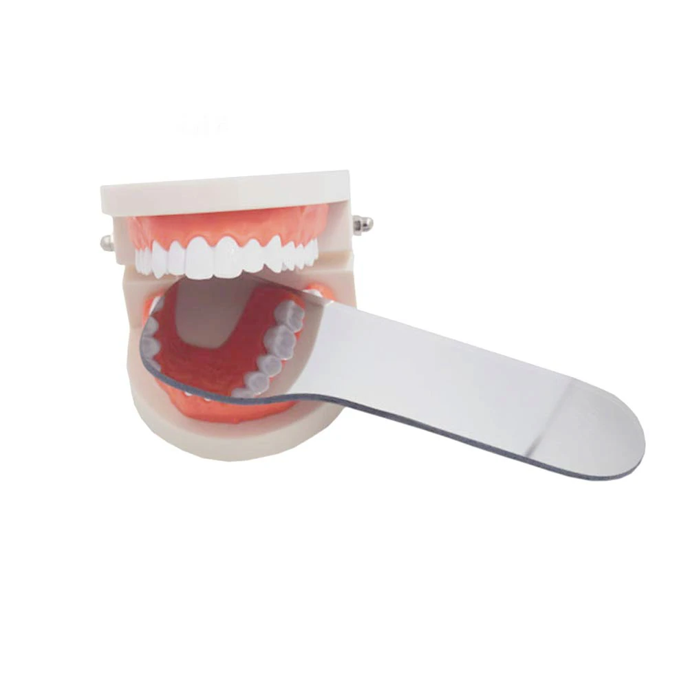 Miroir Buccal Dentaire En Verre - Pour Orthodontie, Photographie Intra-orale - Neuf