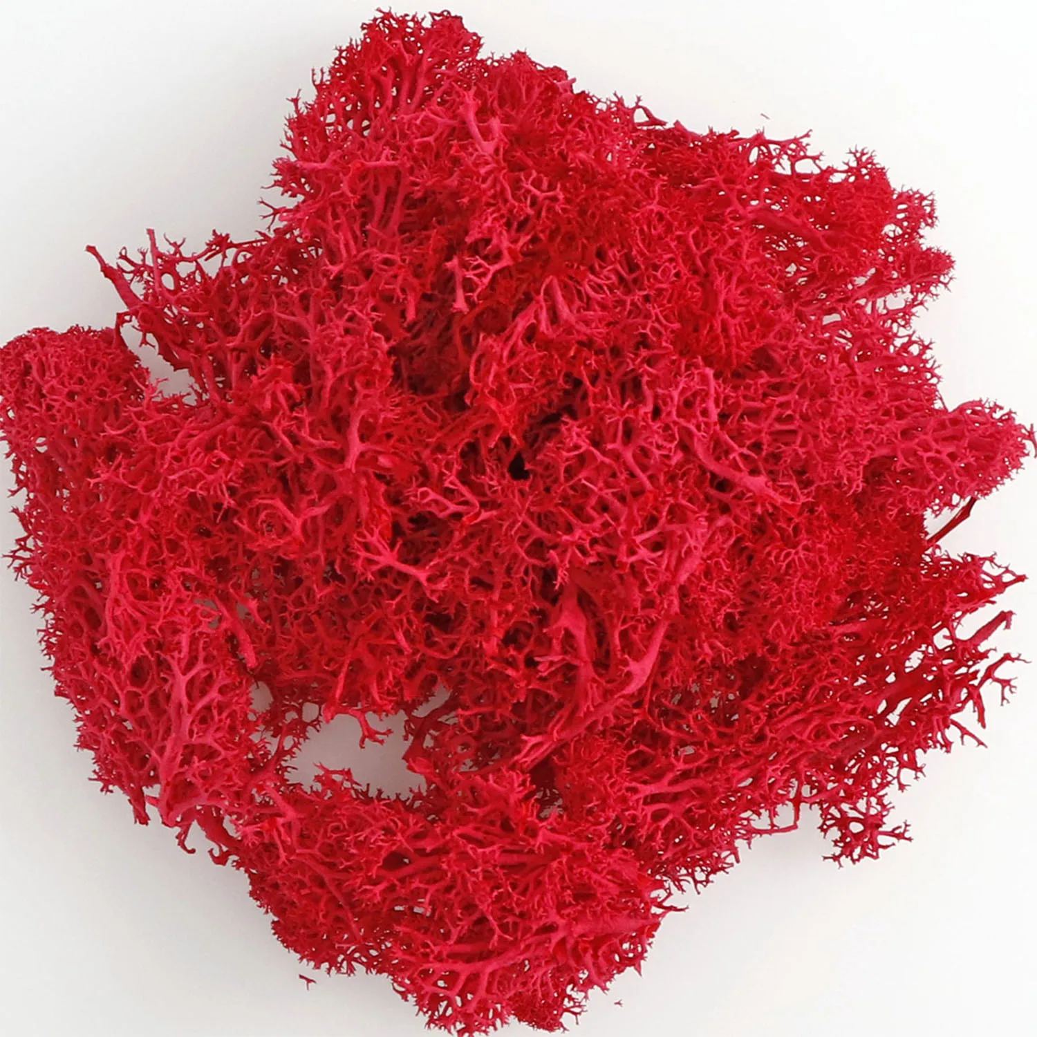 20 g künstliche grüne Moospflanzen, ewiges Lebensgras, Mini-Landschaft, Kunstrasen, DIY-Handwerk für Zuhause, Wohnzimmer, Garten, Dekoration – Detail 28