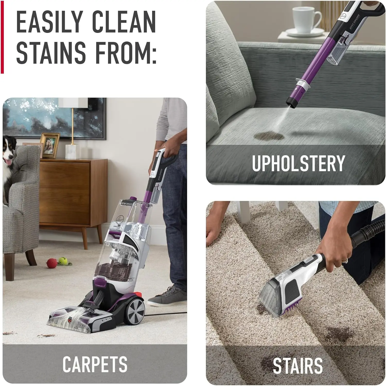 Pet Automatic Carpet Cleaner Machine with Spot Chaser Wand, Deep Cleaning Shampooer, Carpet Deodorizer and Pet 6