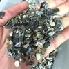 New Arrivals Polished New Zealand Paua Crystals Gravels Healing Stones Bulk Natural Abalone Shell Crystal Chips For Decor 3