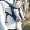 New Outdoor Dog Bag Camouflage Breathable Backpack for dog Travel Puppy carrier Transport Vehicle Pet  Mesh Dog Carrying Bag 4