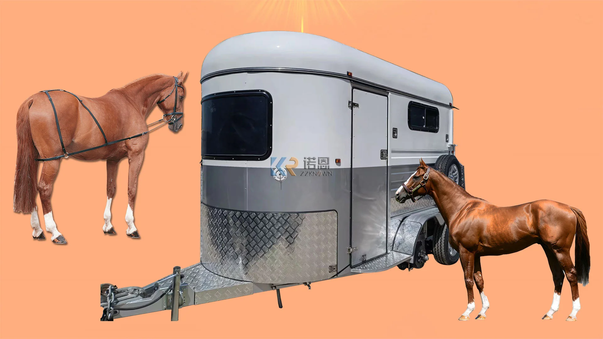 Australia Standard Customized 2 Horse Straight Load Horse Trailer With
