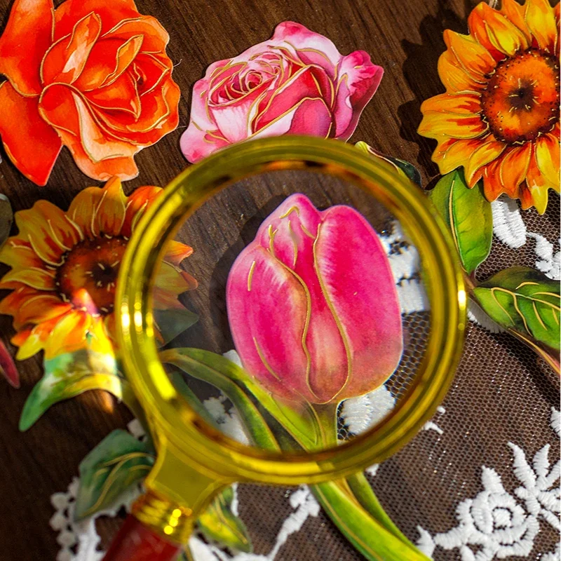 ��� �� �ʱ� �ɴٹ� ���¡ �ڵ�� ��Ʈ��, �ʱ� �е�, ��� ��� ��ũ����, 24 ��, 130x65mm