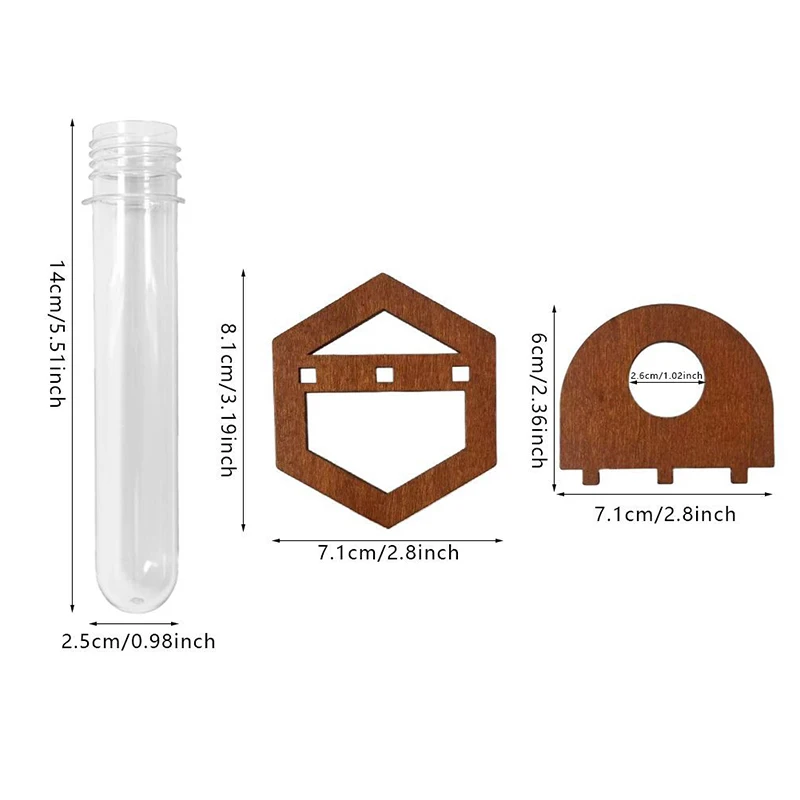 ตัวเลือกสินค้า แจกันต้นไม้ไฮโดรโปนิกส์ ชั้นวางโปร่งใส ตกแต่งบ้าน