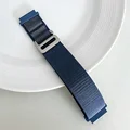 Blue Gray 18