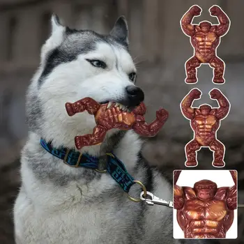 1pc Dog Chew Toy Molar Stick Bite Resistant Teeth Cleaning Snack Toy Grinding Food Pet Teeth X6f9 1
