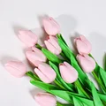 Candy pink