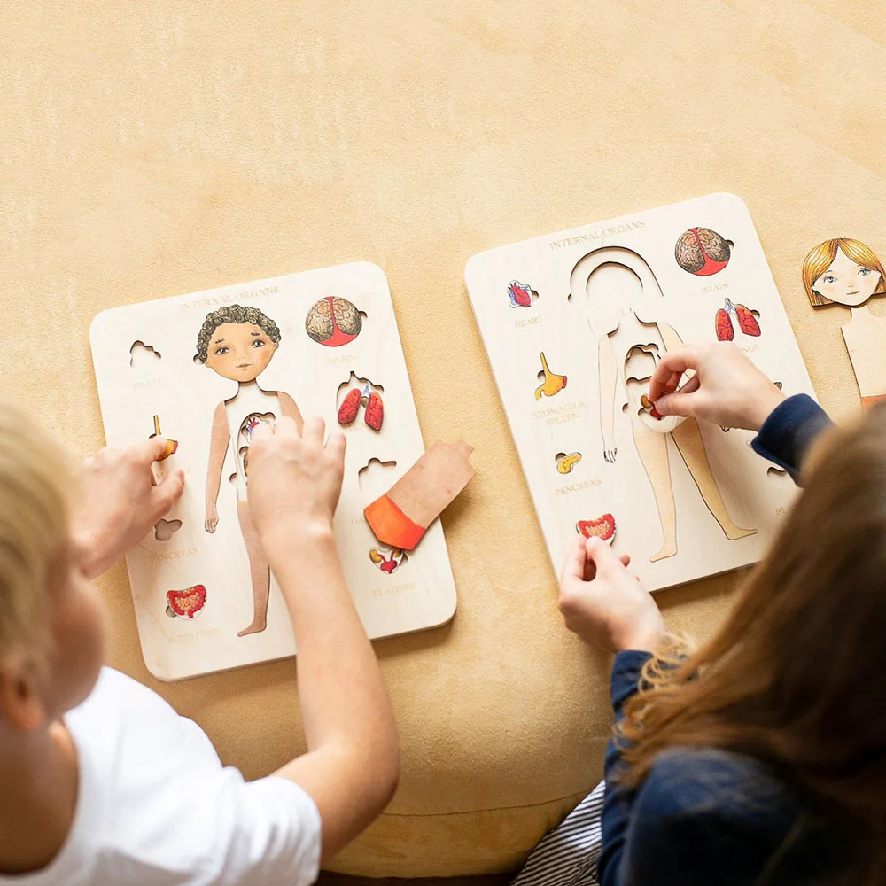

Human Organ Structure Wooden Puzzle Children Desktop Toys Early Education Parent-Child Interaction Maternal and Child Toys