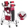 High Quality Adult Walker & Rollator Elderly Disabled Walking Training Aid for Rehabilitation Standing Support 2