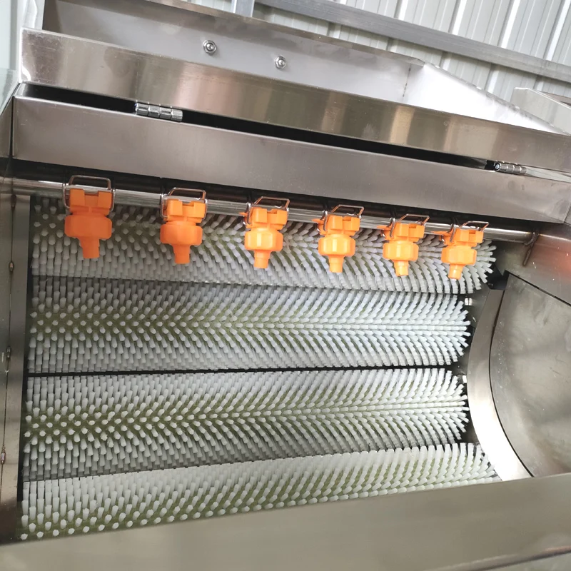 Root Vegetable Fruit Ginger Cassava Washer Peeler Potato Cleaning Peeling Machine Ginger Skin Peeler Industrial 4