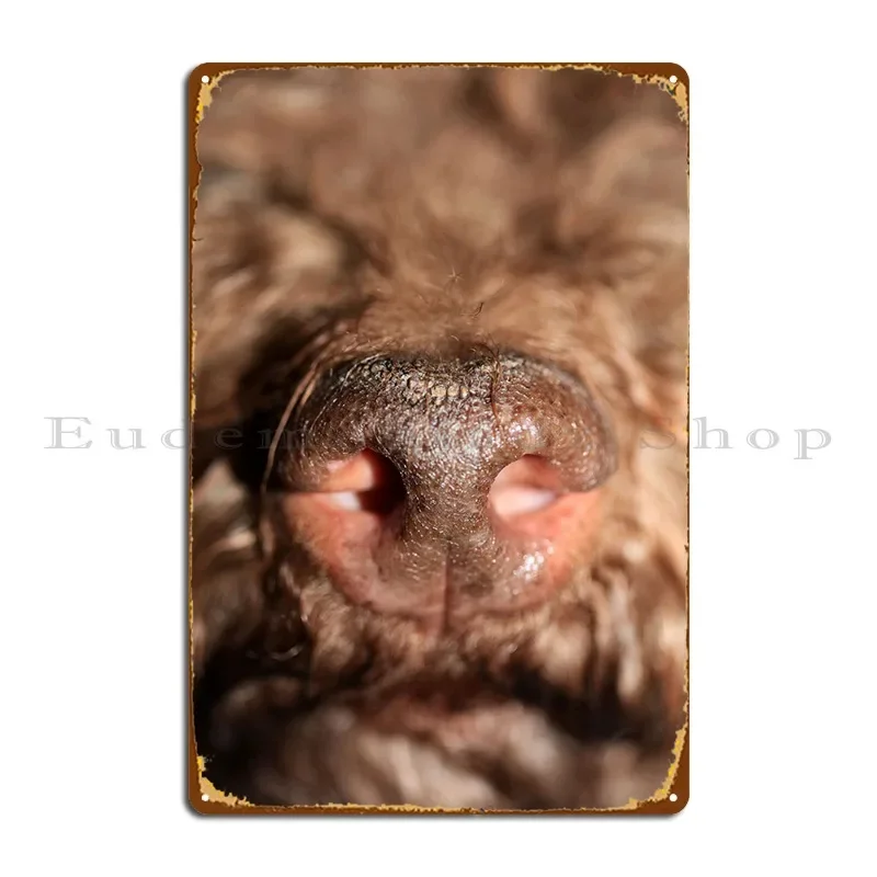 Dog Nose Lagotto Romagnolo Metal Sign Retro Retro Murale Stampato Personalizza Tin Sign Poster