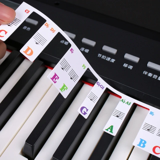 Adesivi Per Tasti Pianoforte - PVC Trasparente Per 37/49/54/61/88 Tasti - Foto 7