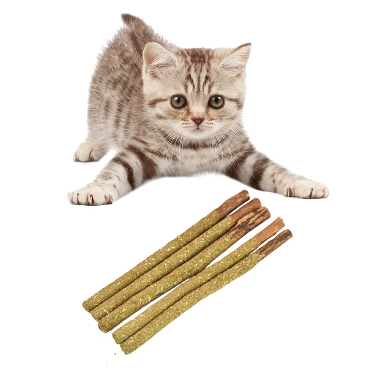 5PCS Natural Catnip Pet Cat Molar Toothpaste Stick Matatabi Actinidia Fruit Silvervine Cat Snacks Sticks Pet Cleaning Teeth 2022
