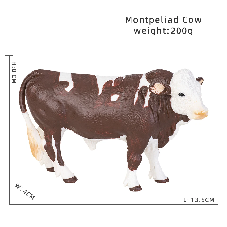Montpeliad Cow