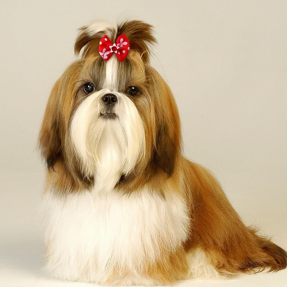 100PCS/Pack Choose Patterns Puppy Dog Small Hair Bows Pet Dog Hair Accessories Dog Grooming Bows for Small Dog Puppy Yorkshir 5