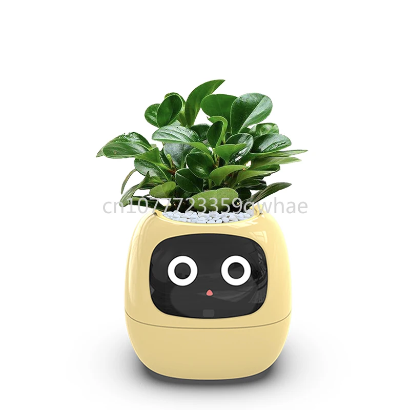 

Home Garden Flower Pots Creative interaction mini smart garden indoor Smart flower planter APP Internet control Flowerpot