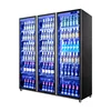 Commercial Display Freezer 2 Door Beverage Cooler Freezer Refrigerator Display Cooler 3