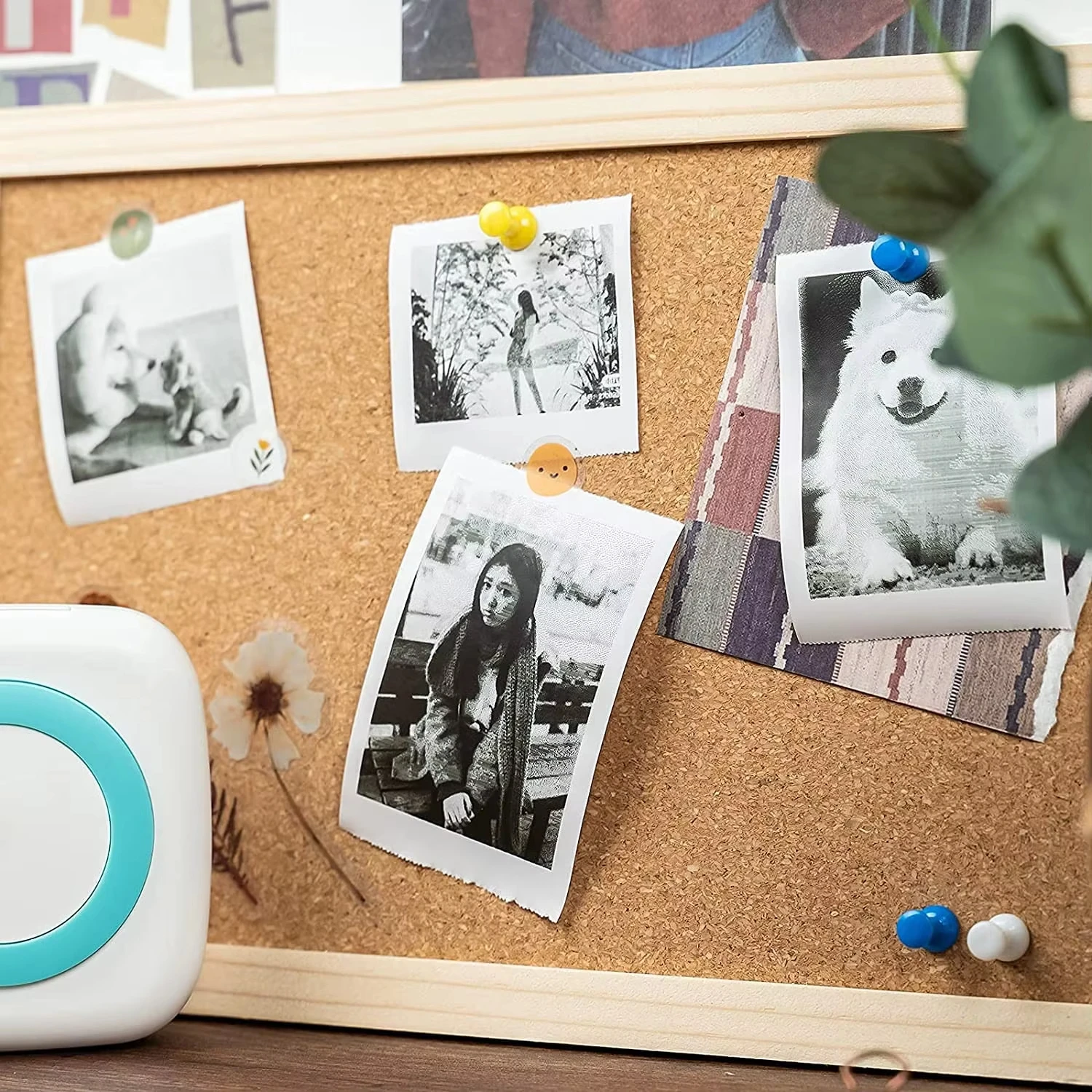 5롤 비접착식 흰색 감열지 57x25mm BPA 프리 친환경 안전 어린이 휴대용 프린터 즉석 카메라 라벨 등