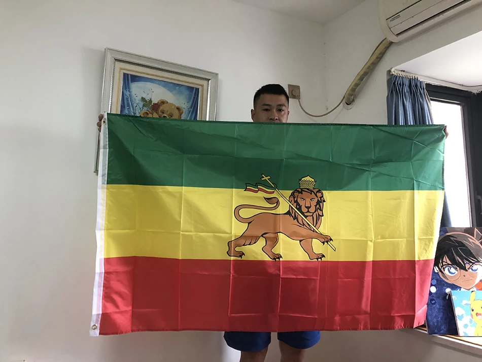 SKY FLAG Ethiopia flag 90x150cm high quality polyester hanging Judah Lion Ethiopian Lion of Judah Flag for home decoration