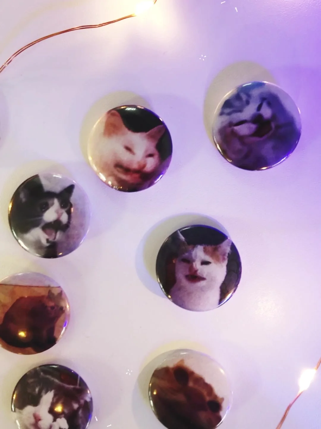 Cats Memes Chonky triste gato gritando estado de ánimo pin icono en una  mochila para hombre, mujer, broche metálico de moda divertido sello  pendiente de la chaqueta decoración, image size:1080x1440