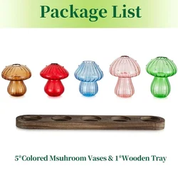 Glass Propagation Station with Wooden Stand - Plant Lover's Decorative Hydroponic Vases (5Pcs)