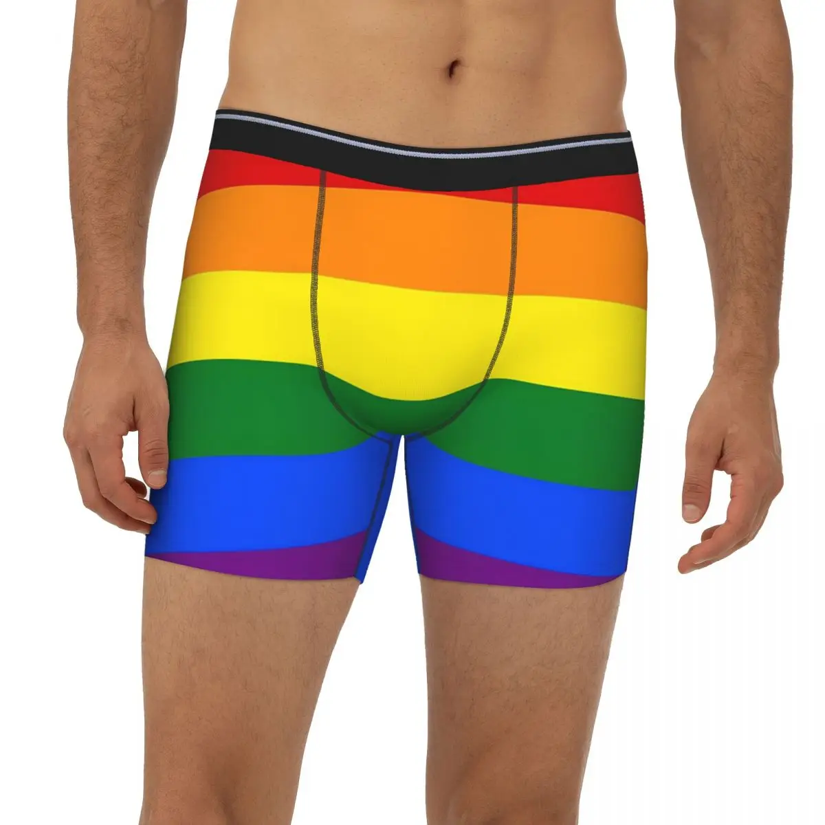 Gay Pride Rainbow Logo Flag Underpants Breathbale Panties Male Underwear Print Shorts Boxer Briefs extended underwear