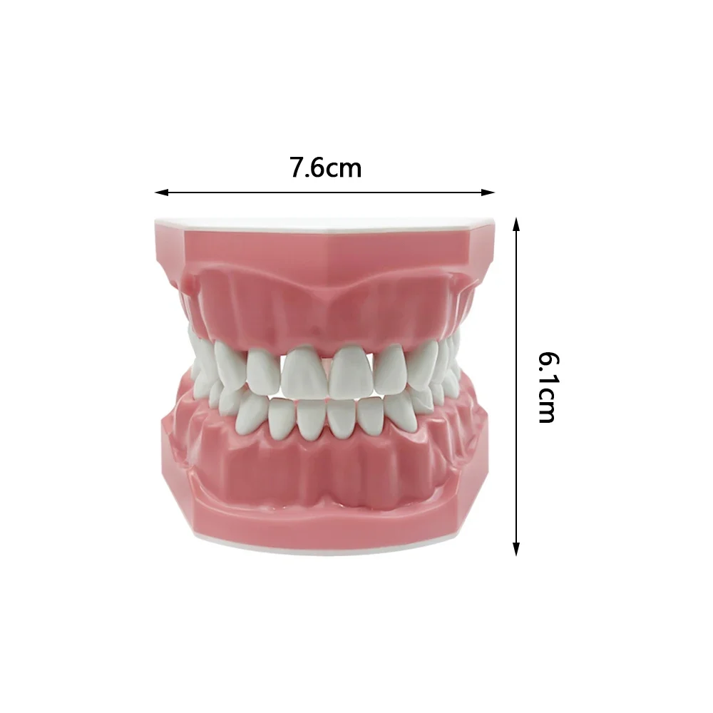 Dental Care Educational Tool for Brushing and Flossing Practice