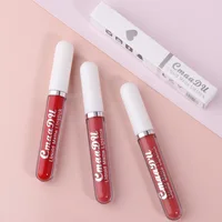 18 Color Lipstick Matte Waterproof And Long-lasting Lip Gloss 2