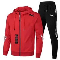 Ensemble de survêtement pour homme printemps-automne, sweat à capuche à manches longues et pantalon de jogging, 2 pièces, vêtements de sport décontractés pour la course à pied 1