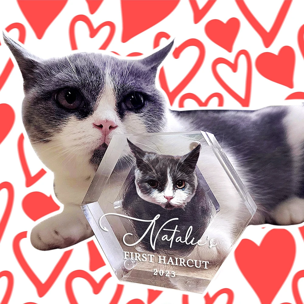 Personalized Pet Fur Keepsake With Photo Pet Hair Box Dog Cat Fur Memorial Box Gifts for Lovers Friends