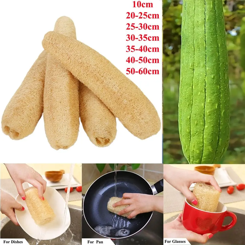 Kitchen Cleaning Brush Natural Loofah Luffa Sponge Long Ecological Planting Body Shower Sponge Non-stick Good Absorbency Dish Towels Bath Kitchen