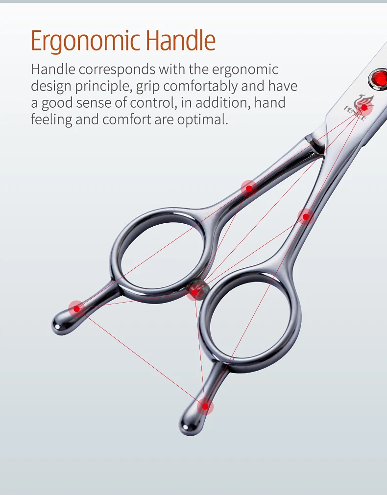 Ensemble de ciseaux à effiler en acier inoxydable avec poignée ergonomique.