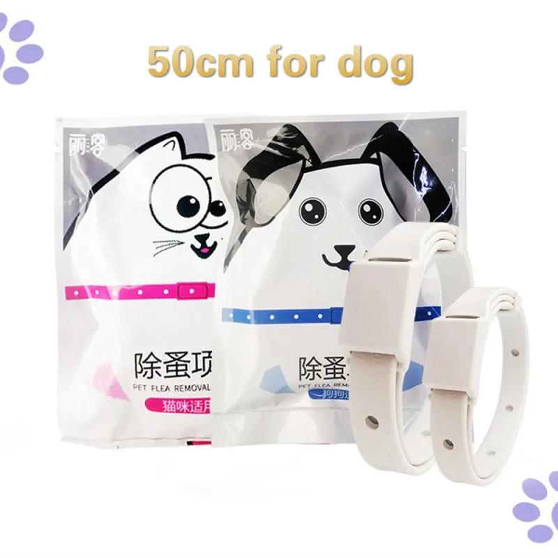 dog 50cm