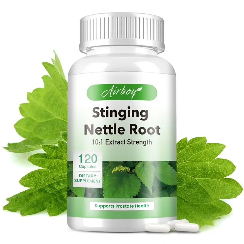 Stinging Nettle Root Supports Prostate and Urinary Tract Health Improves Digestion Relieves Frequent Urination stinging nettle root supplement