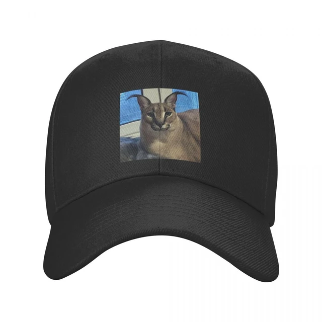 Hats Cap Memes, Men Baseball Cap Meme, Floppa Cat Meme