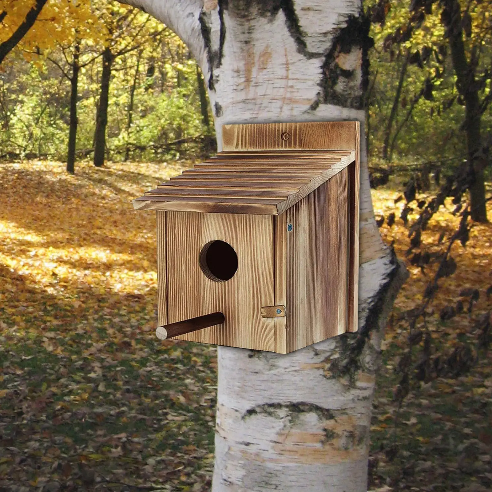 Bird House Bluebird House Wooden Bird Box for Kids Adults Window Small Birds Bird House Bluebird House Wooden Bird Box for Kids Adults Window Small Birds