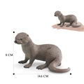 Otter-6