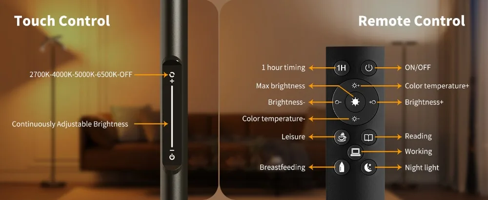 Floor Lamp with Remote Control and Touch Control
