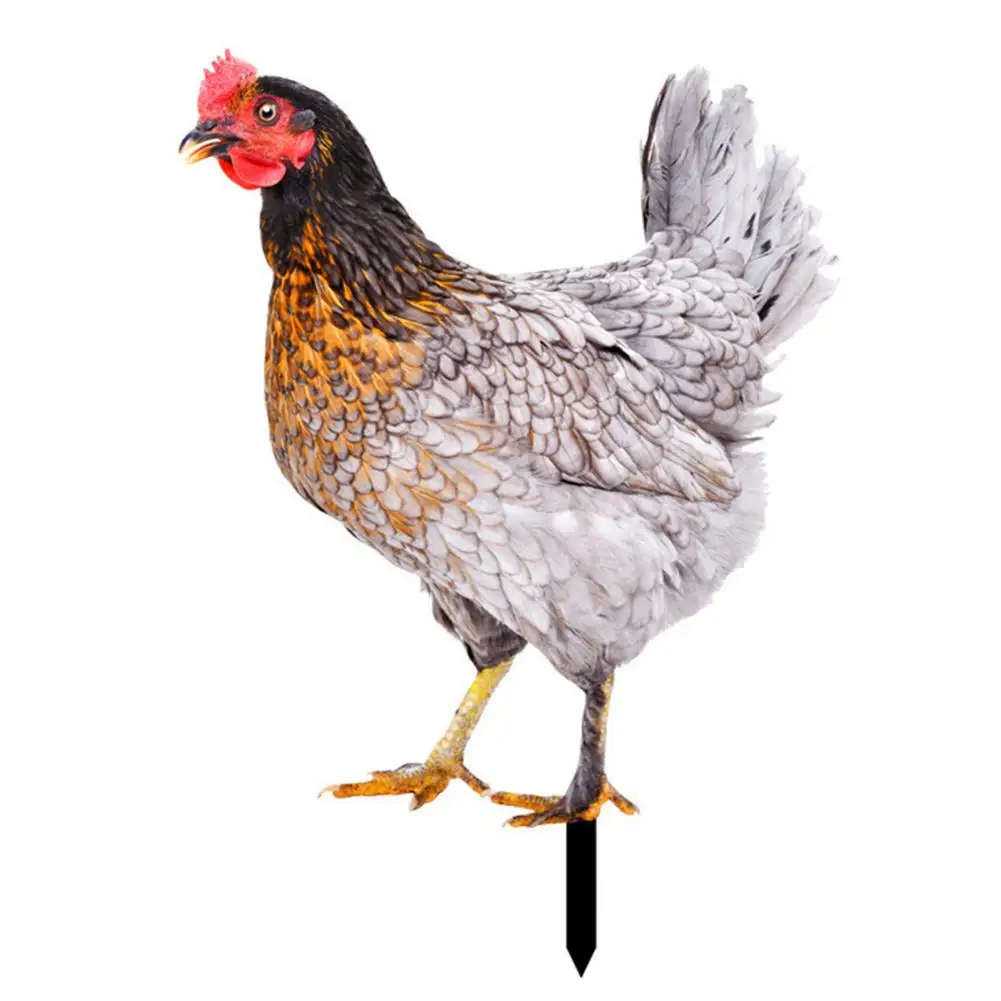 

Ornamental Double-sided Printing Yard Art Sculpture Rooster Decor for Garden