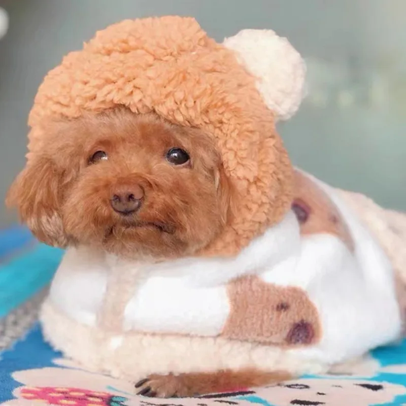 Dog windbreaker with hat small dog clothes lovely bear cloak warm blanket