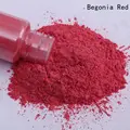 Begonia Red