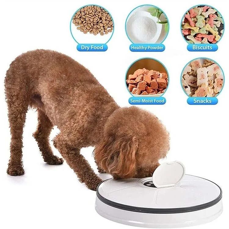 S86633d9ae8a5465eb79de46c5a3905b1Y