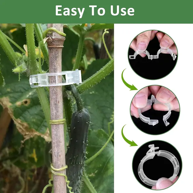 50-100pcs Plant Clips for Climbing Plants Tomato Clips for Hanging Plant Supports Plant Support Clips Hanging Plant Tool 4