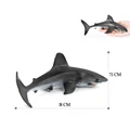 Shark-1