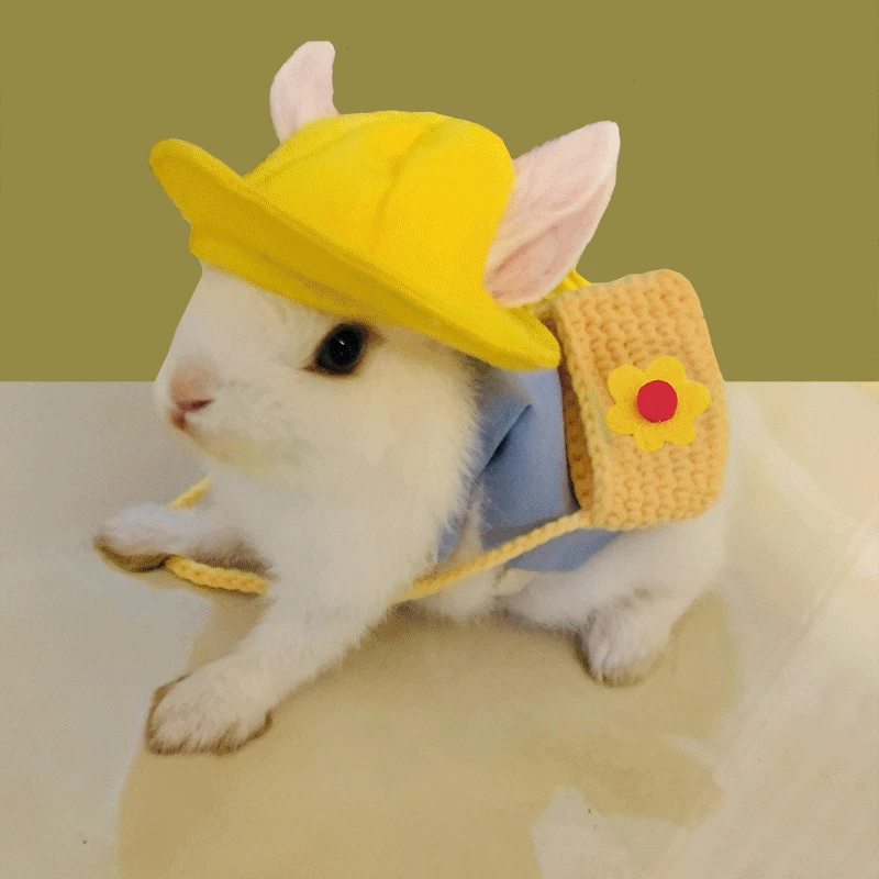 

Pet Rabbit Summer Clothing Cat Dropped Ear Rabbit Decoration Clothing Going Out To Take Photos Pet Towing Rope