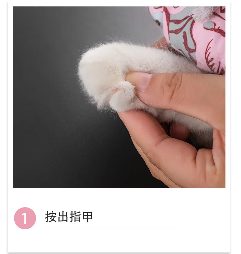 Title 11, Professional Pet Nail Clipper Scissors For Dog ...